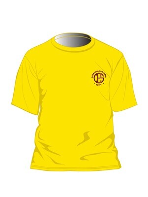 [187] House T-Shirt S.S. Yellow (4-14)