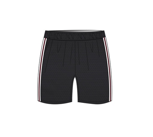 PE Shorts Grey adult sizes (XS-6XL)