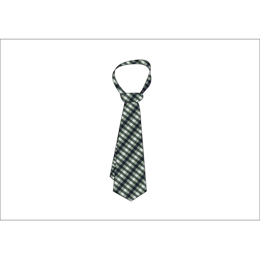 Tie  (Yr 5- Yr9)